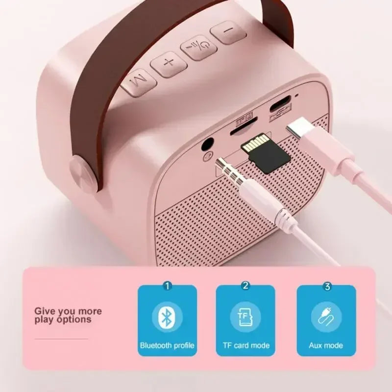 Professional Wireless Bluetooth Speaker for Gaming Karaoke Live Noise Reduction